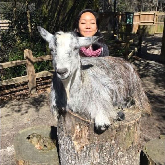 Meet your Posher, Harn - Picture 1 of 1